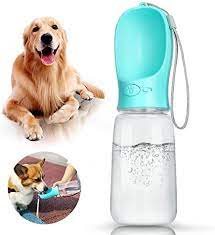 Pet drinking bottle