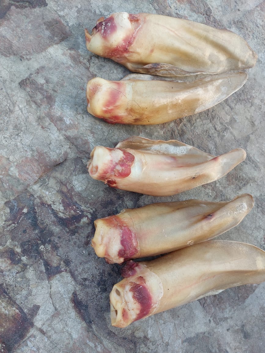 DRIED CATTLE EARS